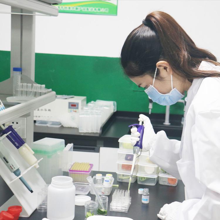 食品安全檢測(cè)2