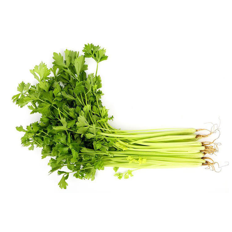 1768627021614499.jpg 香芹.jpg